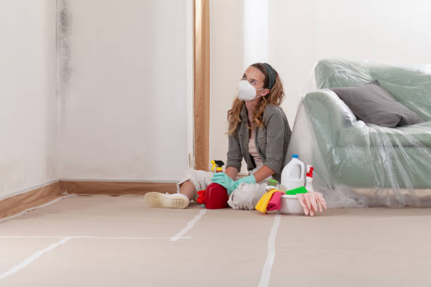Reliable Mold Inspection And Testing contractor in East Brunswick, NJ by Car Mold Remediation